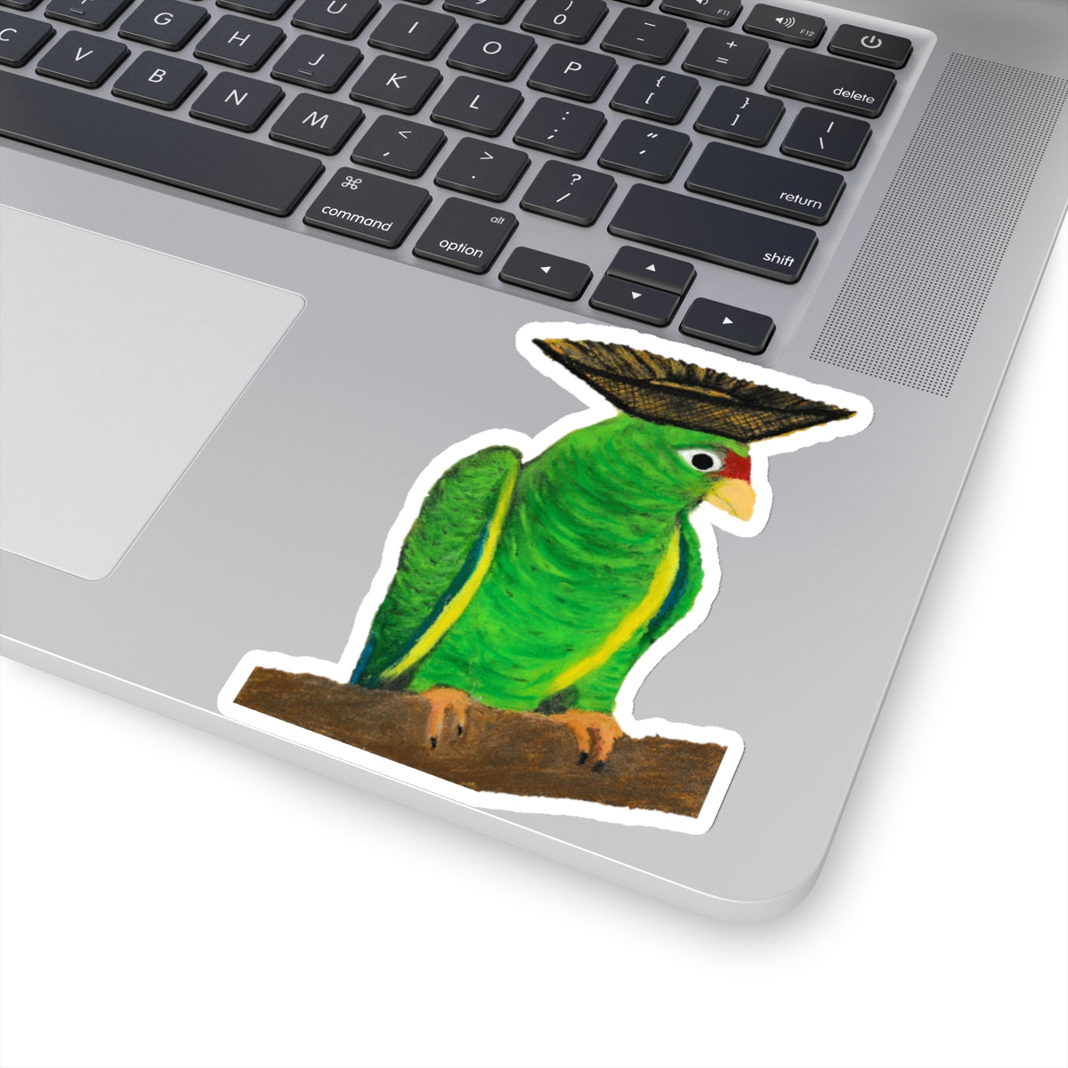 Cotorra - Sticker